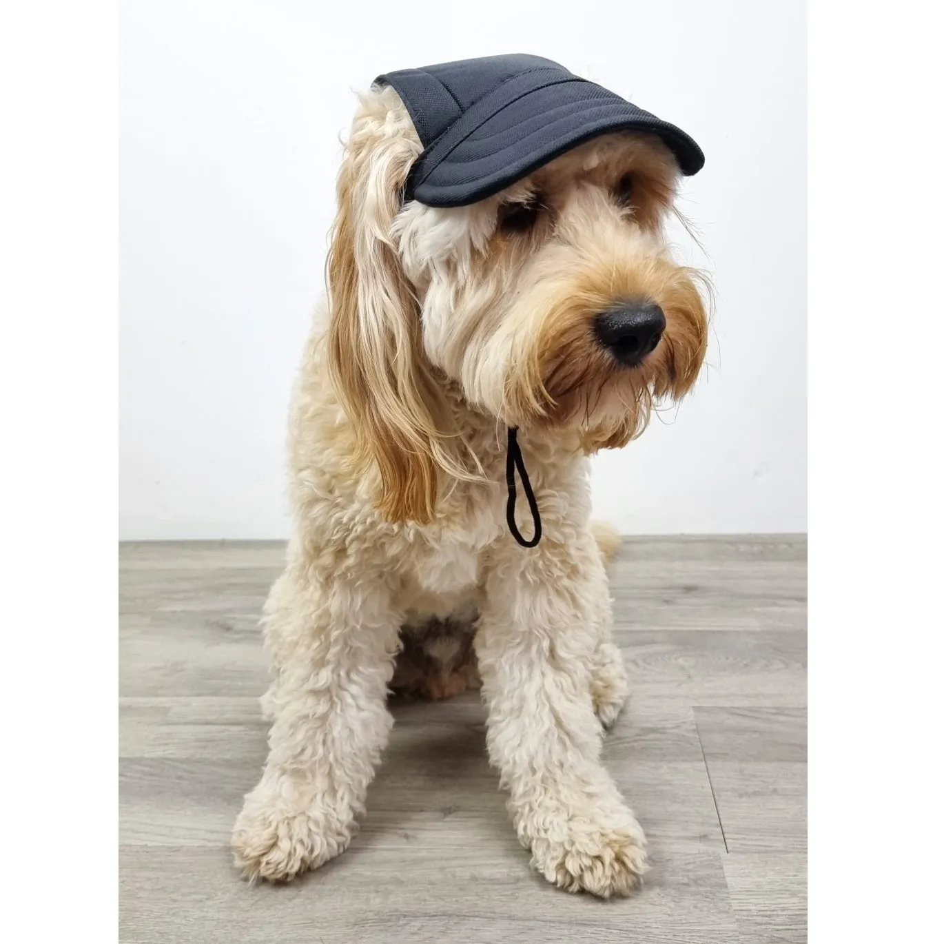 Dog Cap - Black