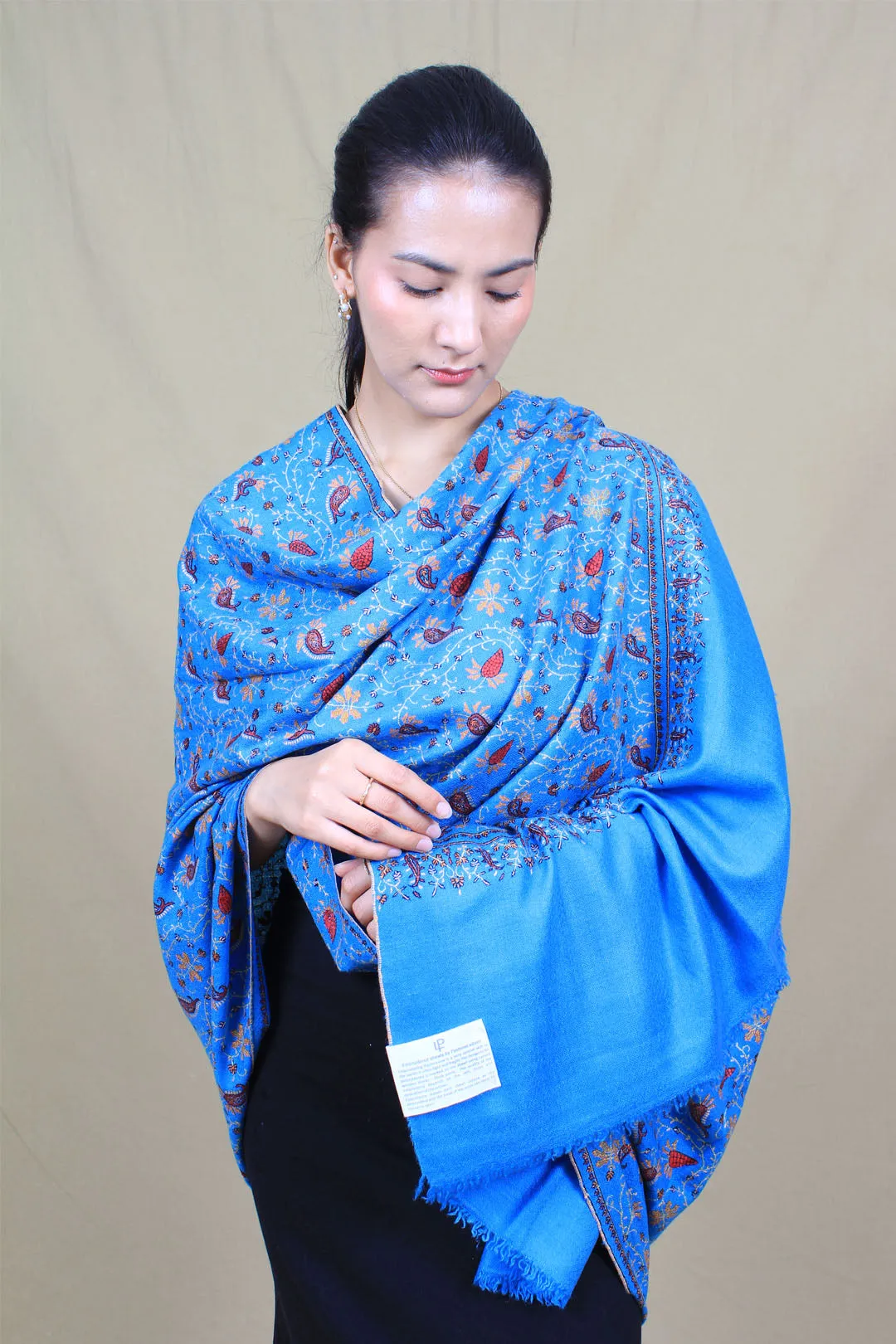 Maanyata Imperial Blue Sozni Jaali Embroidered Pashmina Shawl