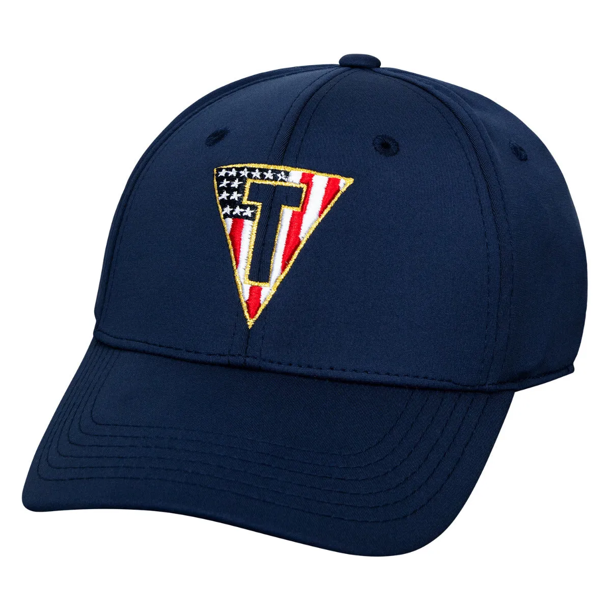 TITLE Boxing Fitted Flag T Cap